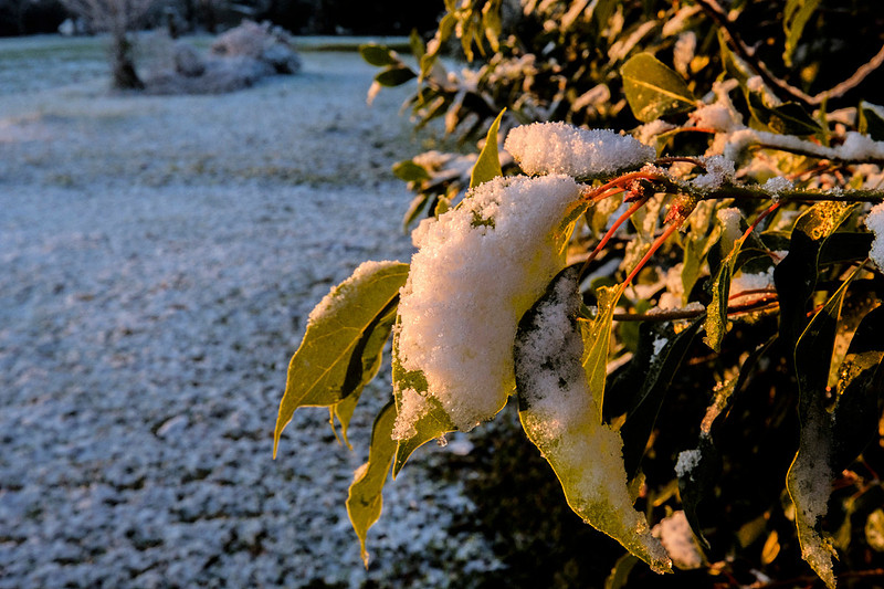 Snow in Baldwin County