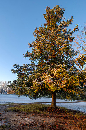 Snow in Robertsdale Alabama
