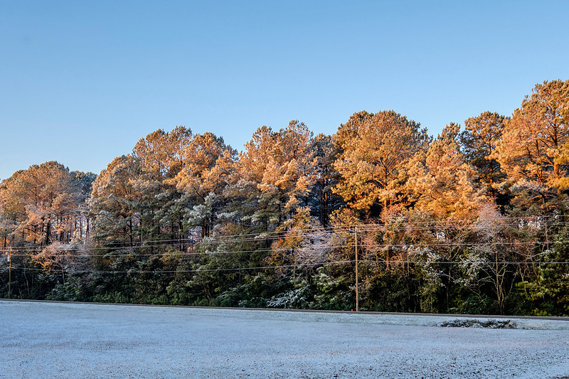 Snow in Robertsdale Alabama