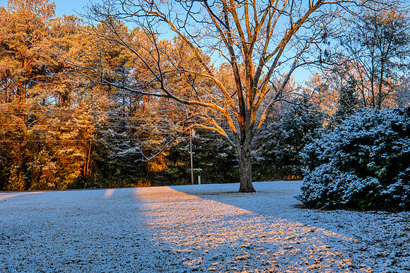 Snow in Robertsdale Alabama
