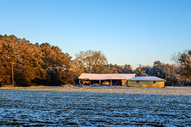 Baldwin County Landscape