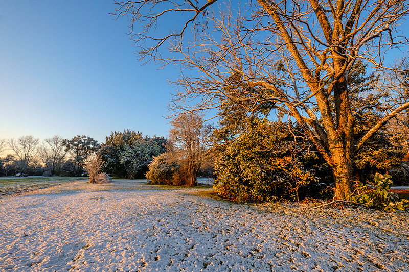 Snow in Robertsdale Alabama