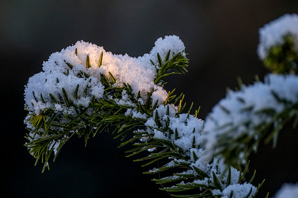 Snow in Robertsdale Alabama