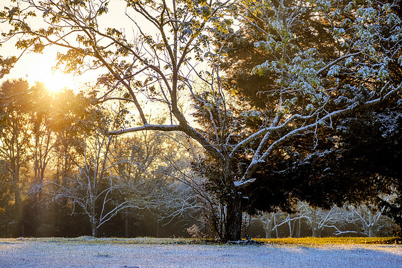 Snow in Robertsdale Alabama