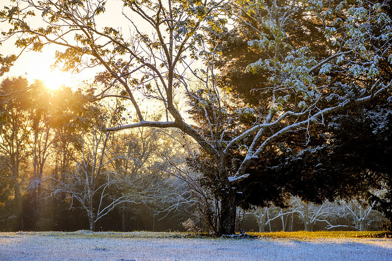 Snow in Robertsdale Alabama