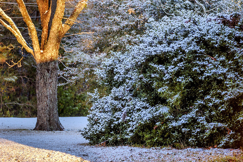 Snow in Robertsdale Alabama