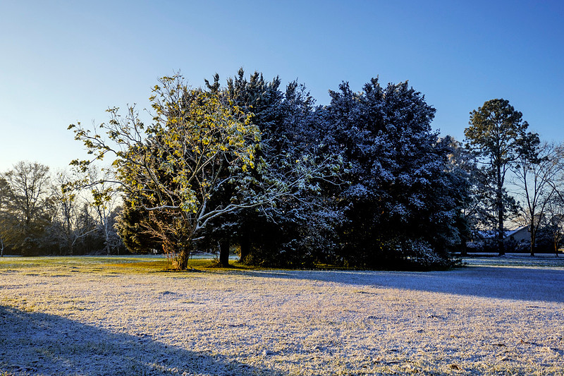 Snow in Robertsdale Alabama