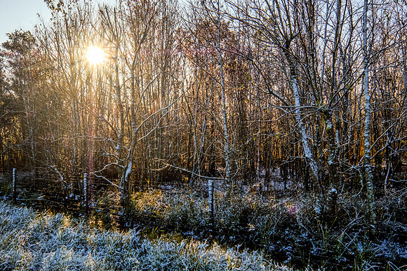 Snow in Robertsdale Alabama