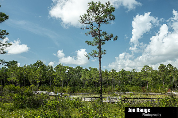 Baldwin County Photographer