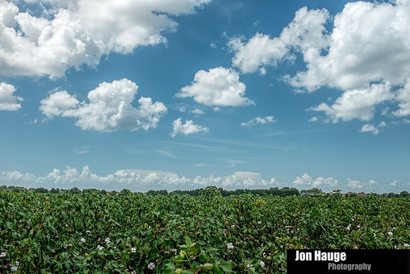Baldwin County Photographer