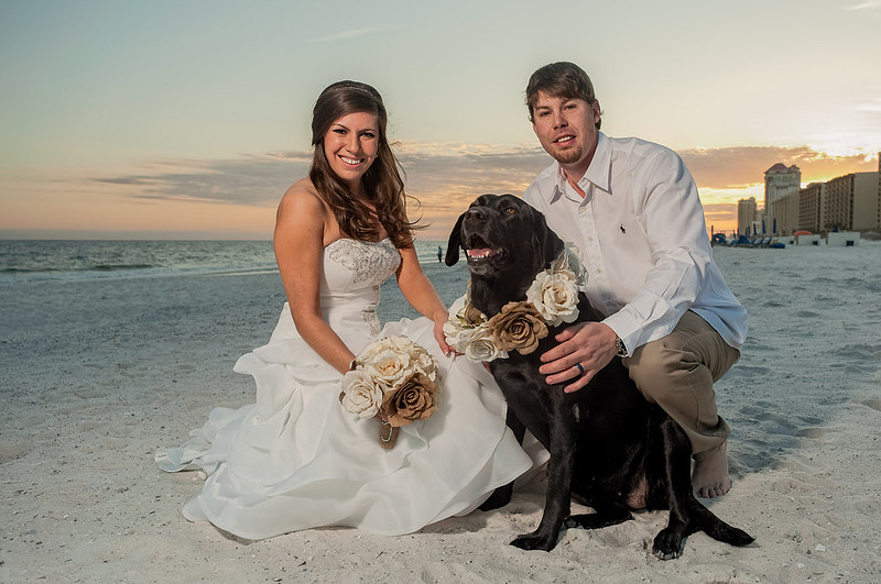 Orange Beach Wedding|Gulf Shores