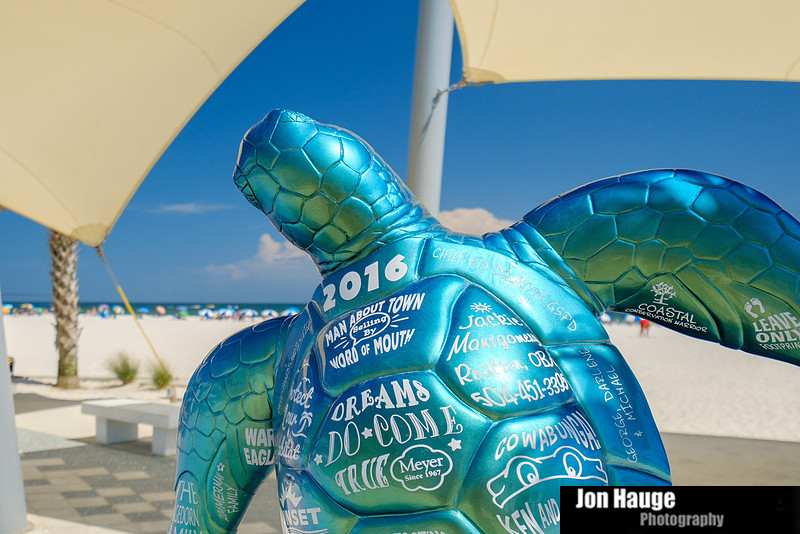 Gulf Shores Beachfront Photography