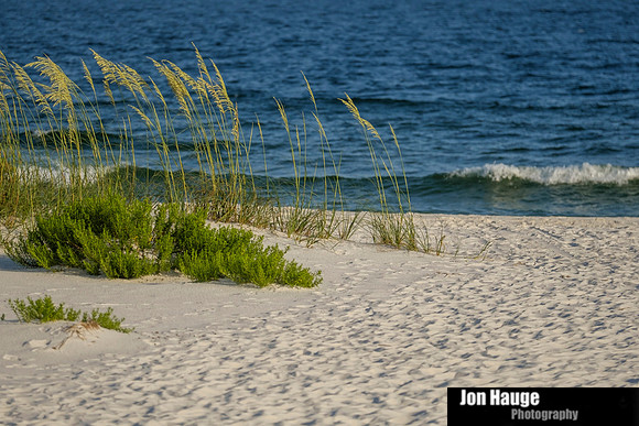 Sea Oats Gulf Shores - Perdido Key