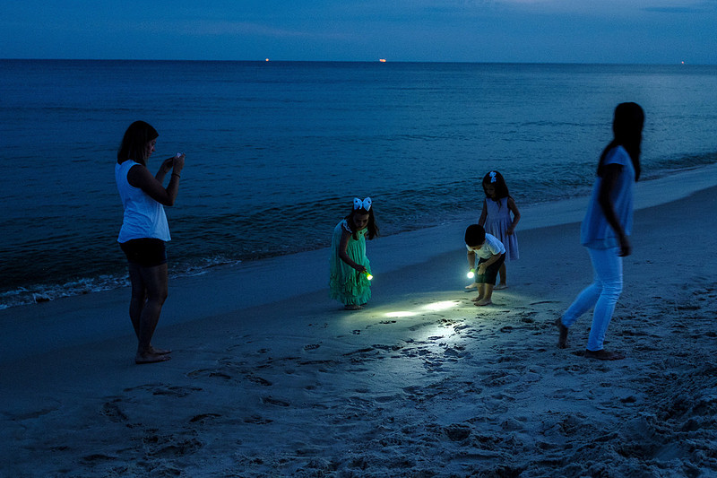 Family Beach Photographer