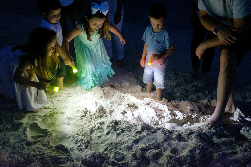 Family Beach Photographer