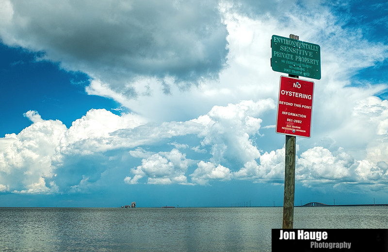 Dauphin Island Photographer