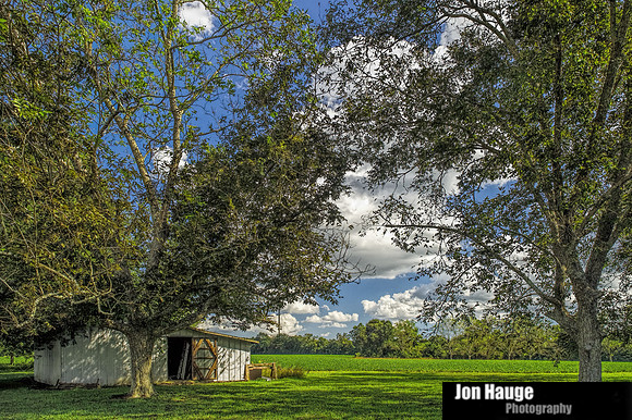 Baldwin County Photography