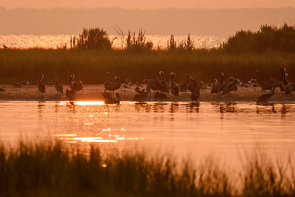 Sunrise at Gailard Island