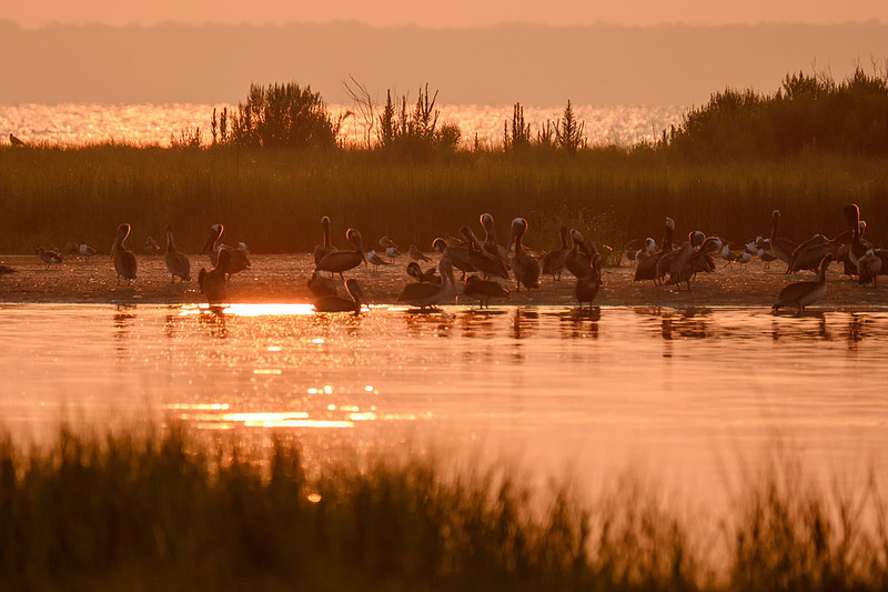 Sunrise at Gailard Island