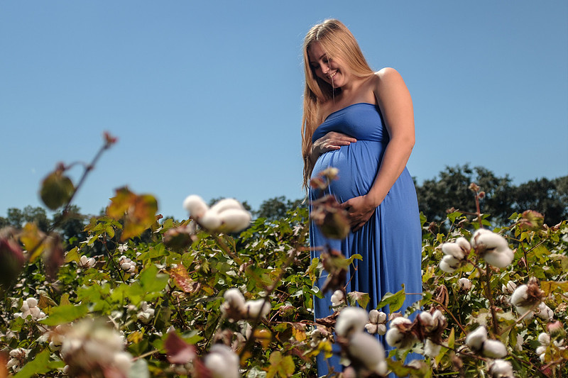 Maternity Portrait Cotton Field