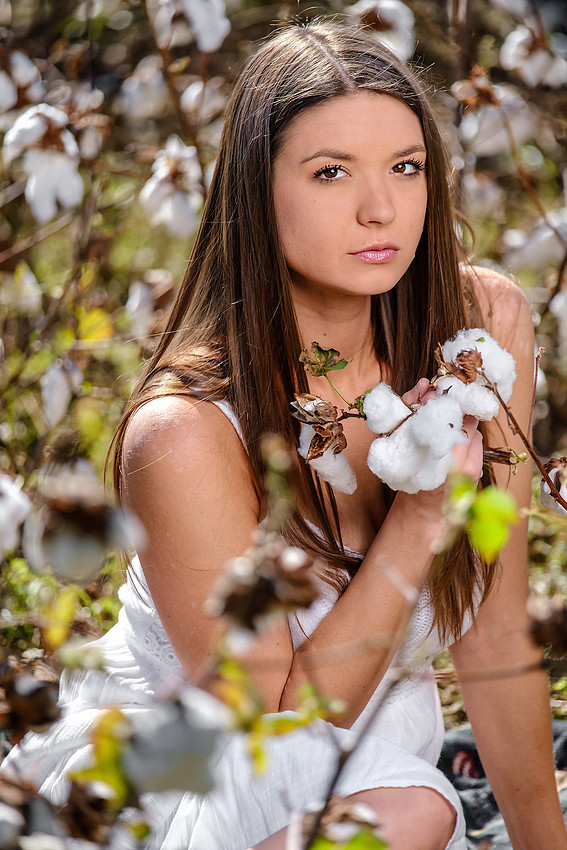 Cotton Field Portrait Baldwin County