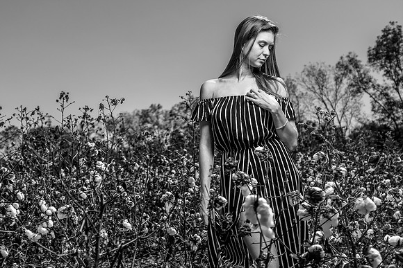 Cotton Field Portrait Baldwin County