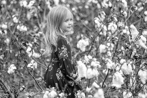 Baldwin County Family Portrait Photographer