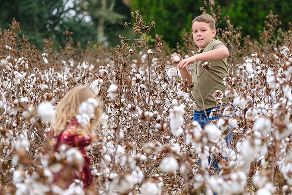 Baldwin County Family Portrait Photographer