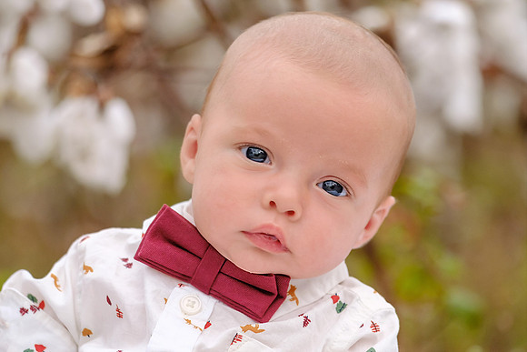 Baldwin County Family Portrait Photographer