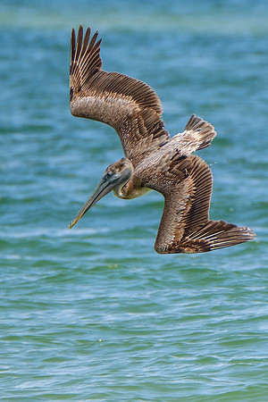 Photographer in Perdido Key
