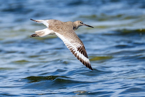 Photographer in Perdido Key