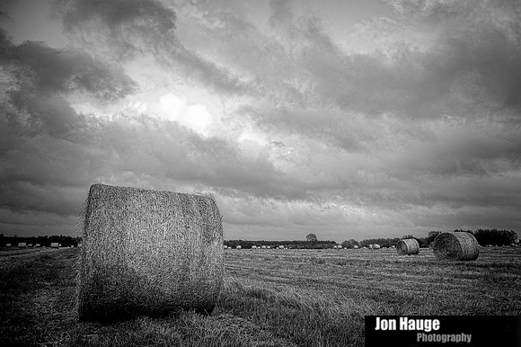 Summerdale Landscape