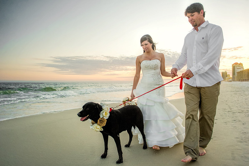 Orange Beach Wedding|Gulf Shores