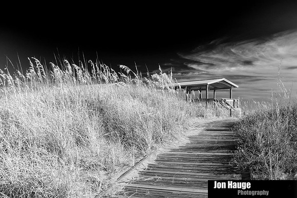 Dauphin Island Beach