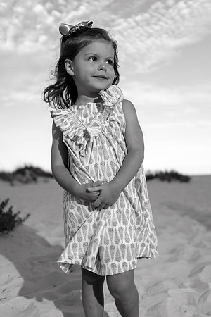 Orange Beach Photographer