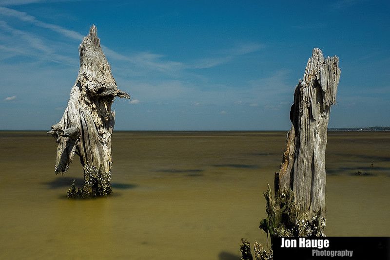 Gulf Shores Photography