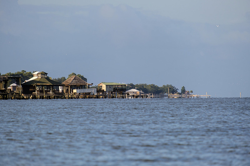 Fairhope Photographer