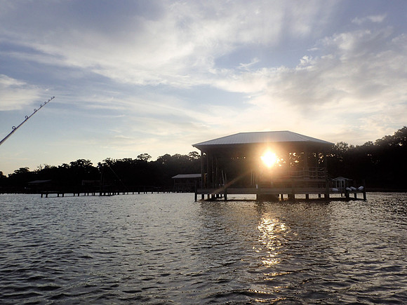 Fairhope Photographer