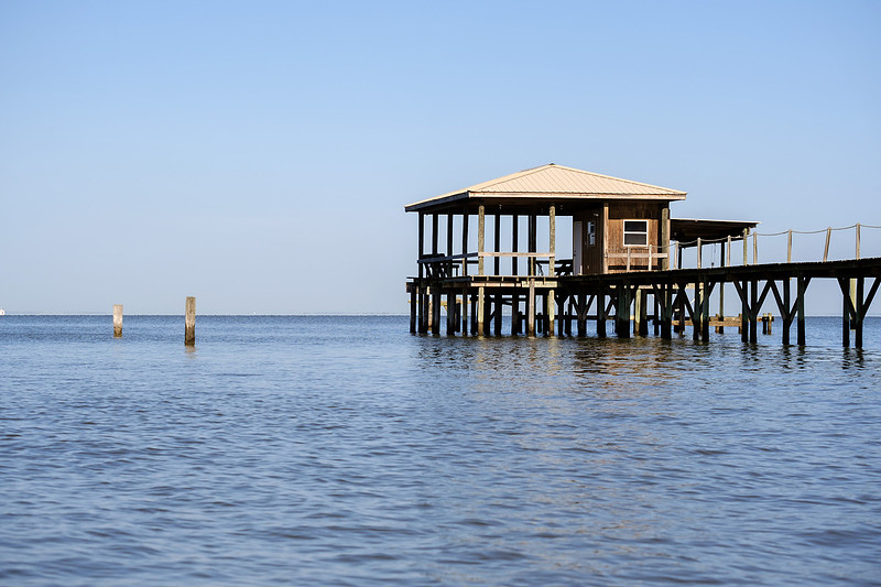 Fairhope Photographer
