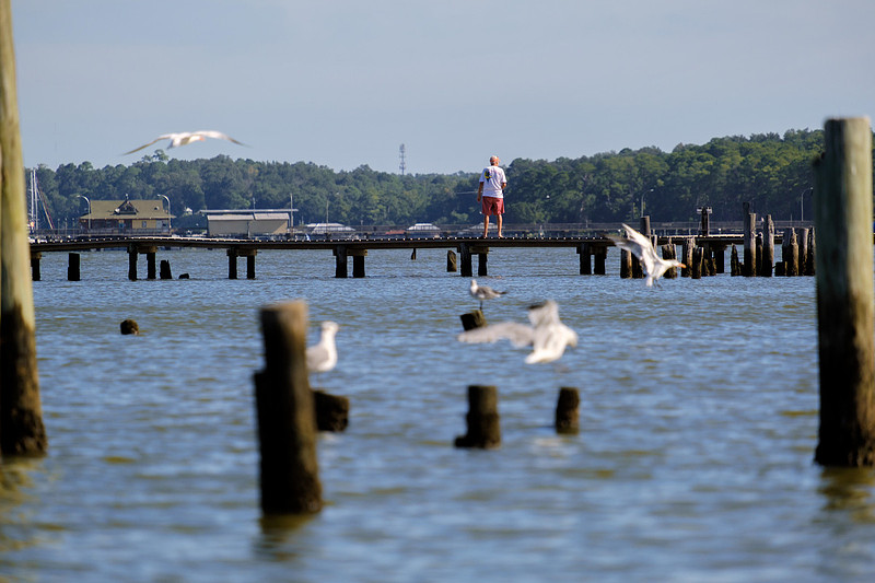 Fairhope Photographer