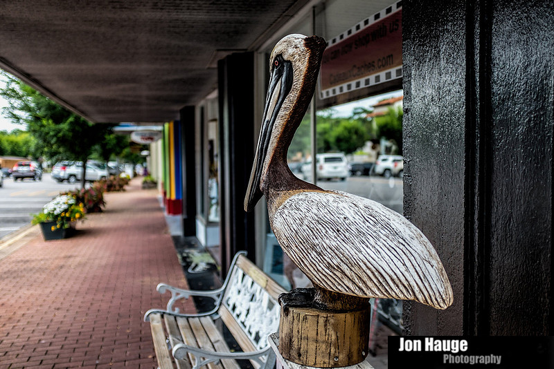 Fairhope Photographer