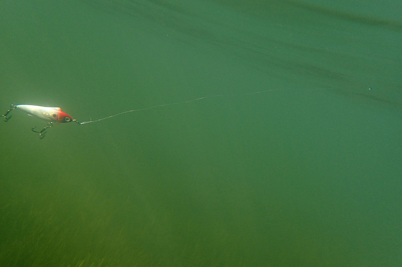 Unfair Lures Rip and Slash