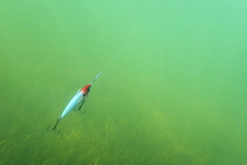 Unfair Lures Rip and Slash