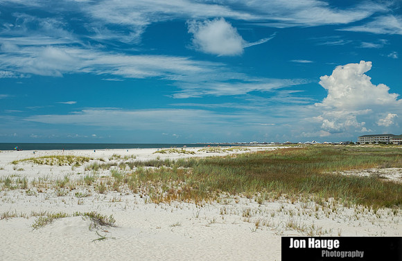 Dauphin Island Photographer