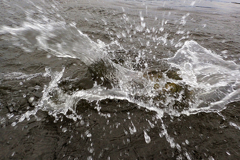 Speckled Trout Fishing