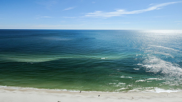 Phoenix Orange Beach Photographer