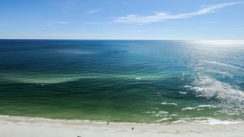 Phoenix Orange Beach Photographer