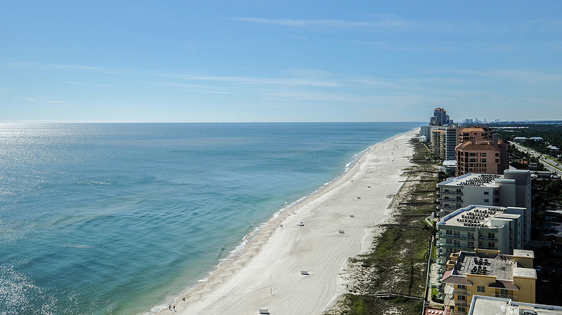 Phoenix Orange Beach Photographer