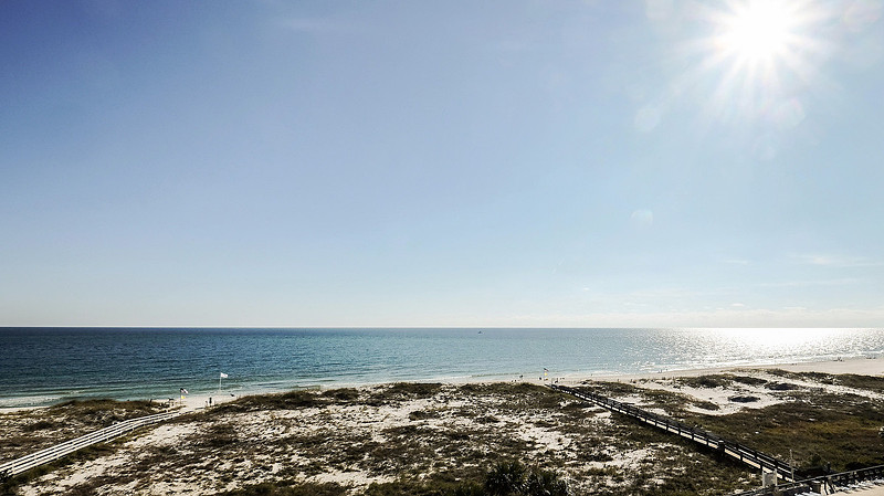 Phoenix East Orange Beach Photographer