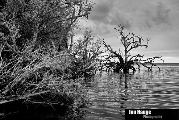 Fort Morgan Road